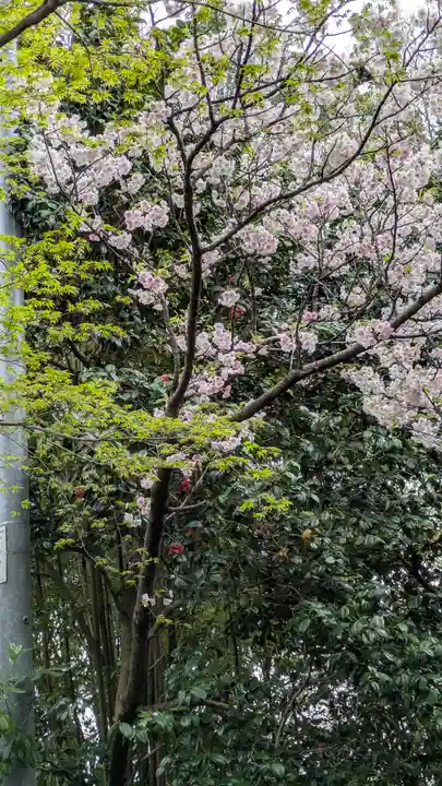 大念寺(京都府)