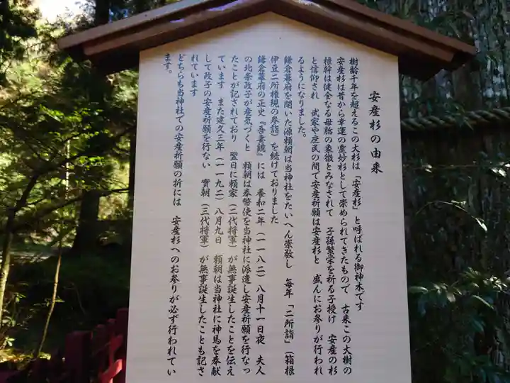 箱根神社の歴史