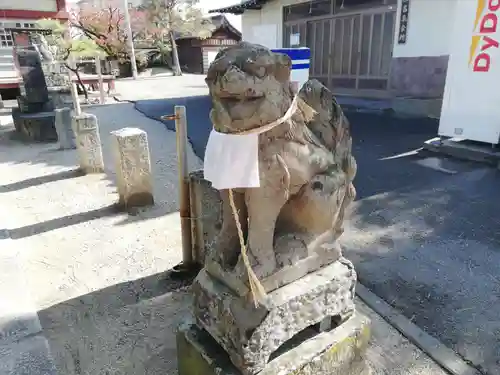 住吉神社の狛犬