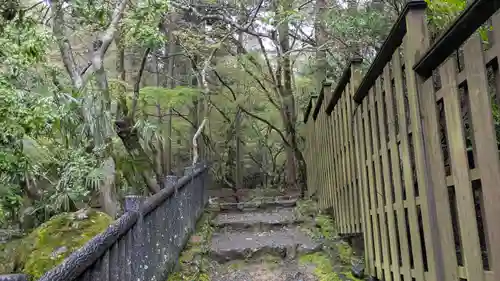 醍醐寺(京都府)