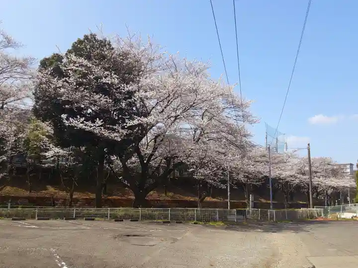 妙櫻寺(東京都)