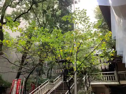 朝日神社のその他建物