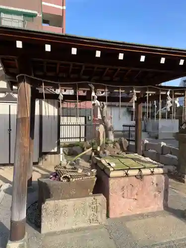 兵庫嚴島神社(兵庫県)