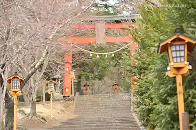新倉富士浅間神社の鳥居