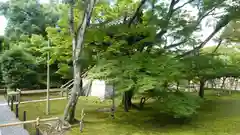 鹿苑寺（金閣寺）(京都府)