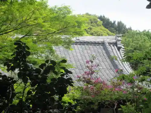 安國論寺（安国論寺）の景色