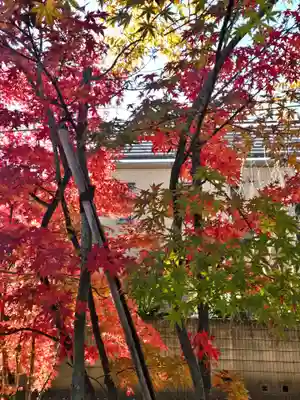 武蔵一宮氷川神社(埼玉県)