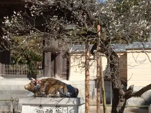 太宰府天満宮の狛犬