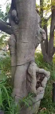 神明天祖神社の周辺