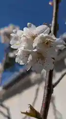 玉田神社(京都府)