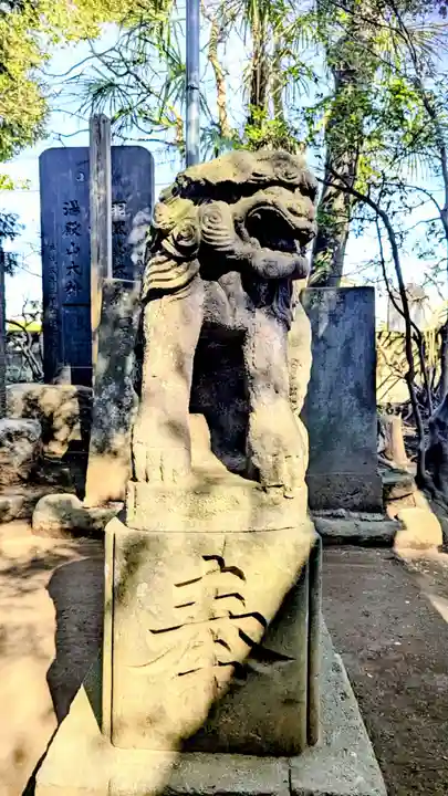 七百餘所神社 の狛犬