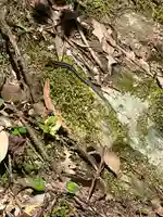 速川神社(宮崎県)