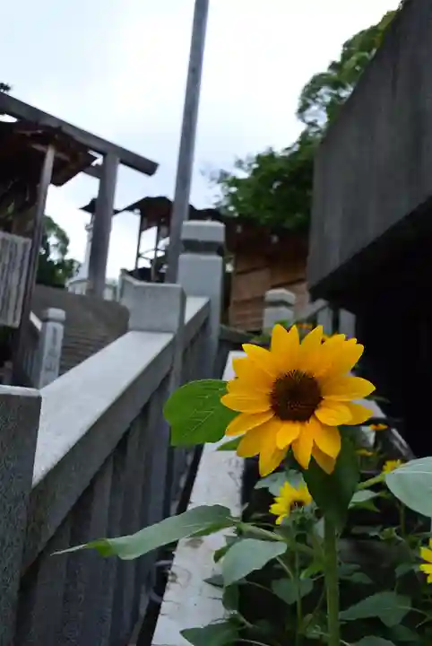 伊勢山皇大神宮(神奈川県)