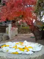 浄誓寺(大阪府)