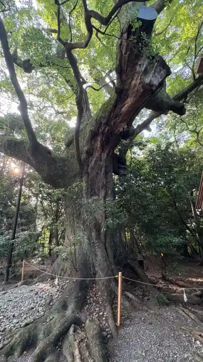 月夜見宮(豊受大神宮別宮)(三重県)