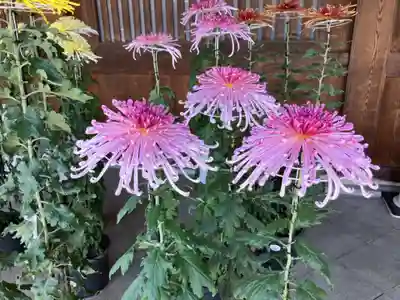 寒川神社(神奈川県)
