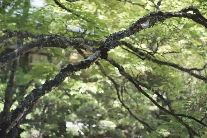高野山金剛峯寺(和歌山県)