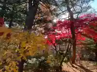 十勝神社の自然