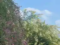 国宝 大法寺の御朱印