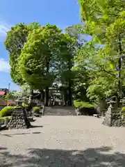 瀧宮神社(埼玉県)