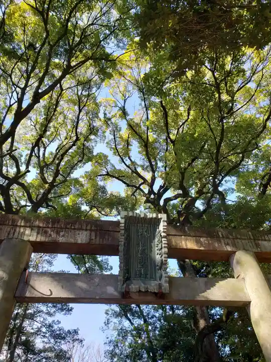 赤坂氷川神社(東京都)