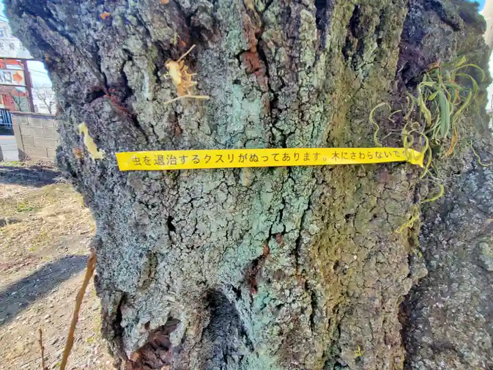 二石稲荷神社(栃木県)
