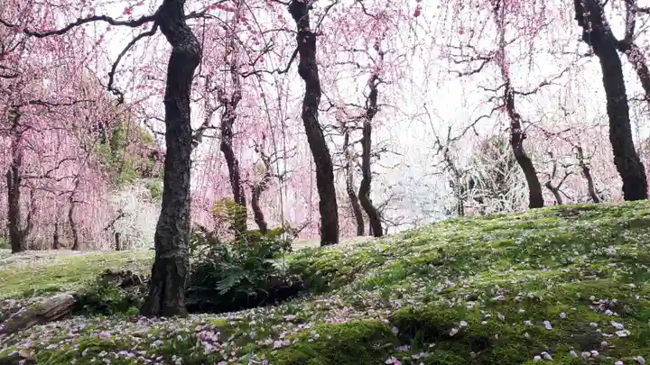 城南宮(京都府)