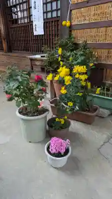 西福寺(京都府)