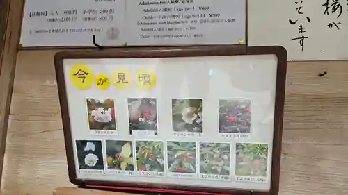 実光院(京都府)