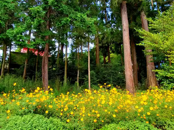 豊景神社の自然