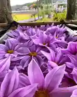 立志神社(滋賀県)