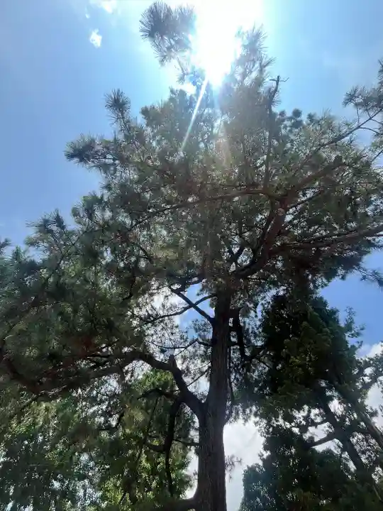 鴻神社(埼玉県)