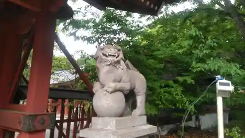 妻垣神社の狛犬