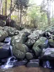 大澤瀧神社の自然