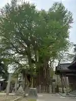 天満神社(徳島県)