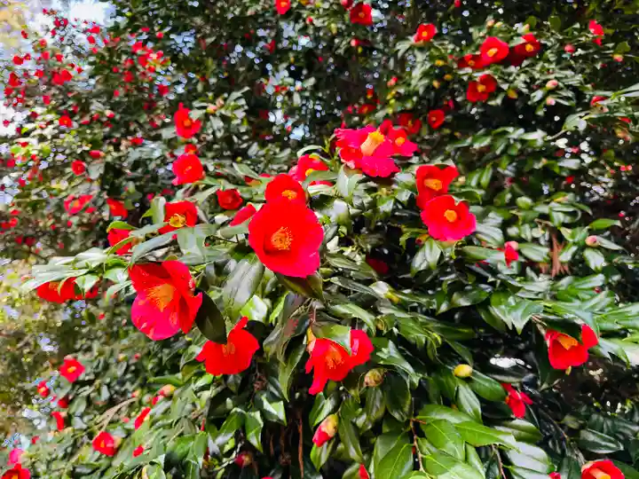 守りの神 藤基神社の庭園