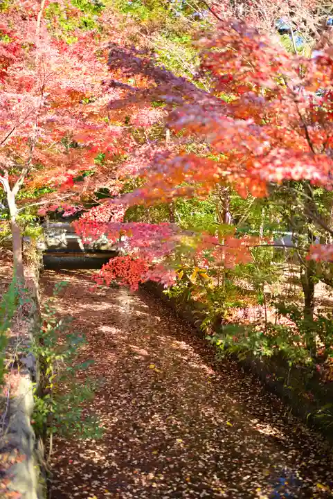 鶴岡八幡宮の庭園