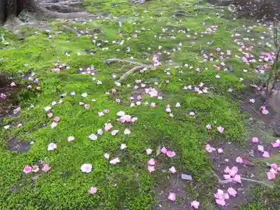 霊鑑寺門跡(京都府)