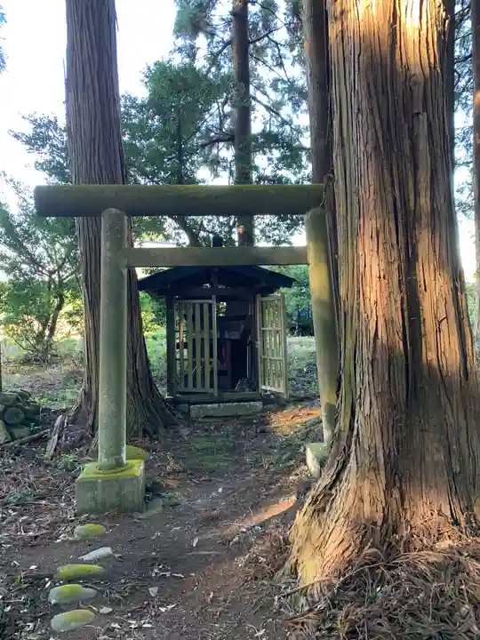 今宮神社(松山)(栃木県)