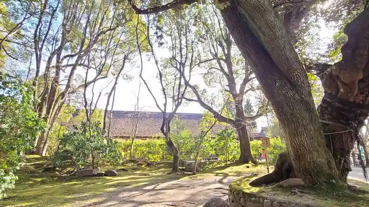 賀茂別雷神社(上賀茂神社)の庭園