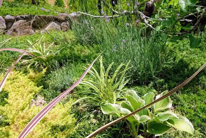 寿量山 速成寺の庭園