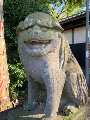 小幡八幡宮の狛犬