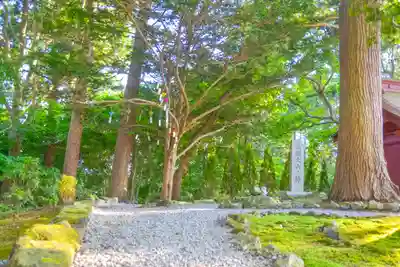 尻岸内八幡神社(北海道)