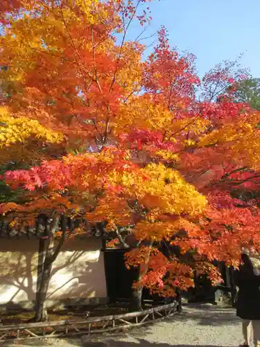 二尊院(京都府)