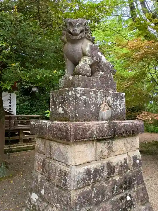 一ノ矢八坂神社の{uncategorized: "未分類", other: "その他", undefined: "問題あり", building: "その他建物", grave: "お墓", sacred_gate: "鳥居", guardian: "狛犬", statue: "像", buddha: "仏像", history: "歴史", nature: "自然", garden: "庭園", animal: "動物", pagoda: "塔", temizu: "手水舎", mountain_gate: "山門・神門", sanctuary: "本殿・本堂", subordinate: "末社・摂社", art: "芸術", scenery: "景色", jizo: "地蔵", ema: "絵馬", goshuin: "御朱印", omikuji: "おみくじ", items: "授与品その他", amulet: "お守り", goshuincho: "御朱印帳", eats: "食事", festival: "お祭り", votive_dance: "神楽", shichigosan: "七五三参", wedding: "結婚式", experience: "体験その他", initially: "初詣", around: "周辺", anti_infection: "感染症対策"}