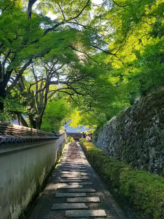 善峯寺(京都府)