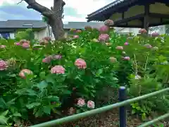 藤森神社の庭園