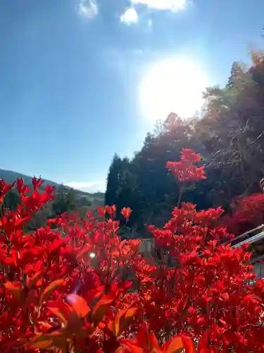 呑山観音寺の景色