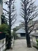 専念寺の{uncategorized: "未分類", other: "その他", undefined: "問題あり", building: "その他建物", grave: "お墓", sacred_gate: "鳥居", guardian: "狛犬", statue: "像", buddha: "仏像", history: "歴史", nature: "自然", garden: "庭園", animal: "動物", pagoda: "塔", temizu: "手水舎", mountain_gate: "山門・神門", sanctuary: "本殿・本堂", subordinate: "末社・摂社", art: "芸術", scenery: "景色", jizo: "地蔵", ema: "絵馬", goshuin: "御朱印", omikuji: "おみくじ", items: "授与品その他", amulet: "お守り", goshuincho: "御朱印帳", eats: "食事", festival: "お祭り", votive_dance: "神楽", shichigosan: "七五三参", wedding: "結婚式", experience: "体験その他", initially: "初詣", around: "周辺", anti_infection: "感染症対策"}