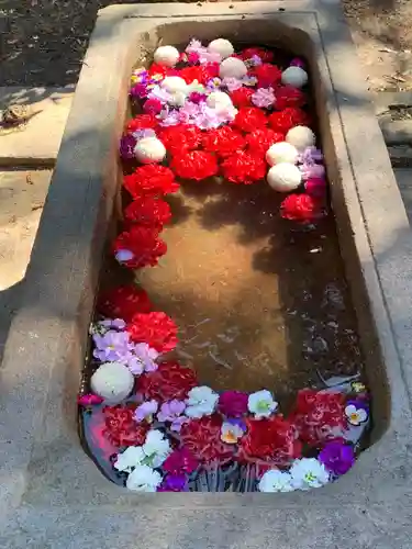 前玉神社の手水